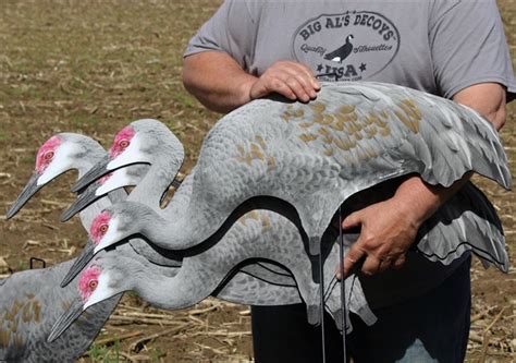 sandhill crane silhouette decoys.